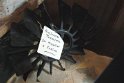 2018-09-17 10-22-03 Combas-Moulin LaTour_noix BMa